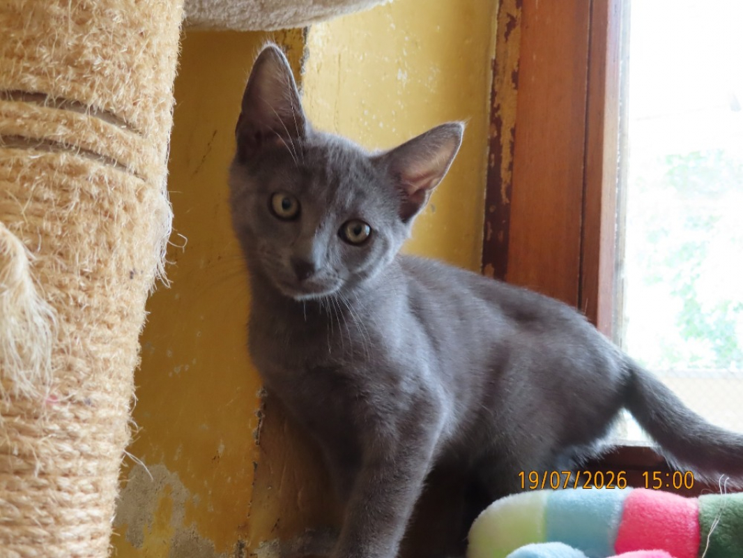 Photo #3 de Jasper