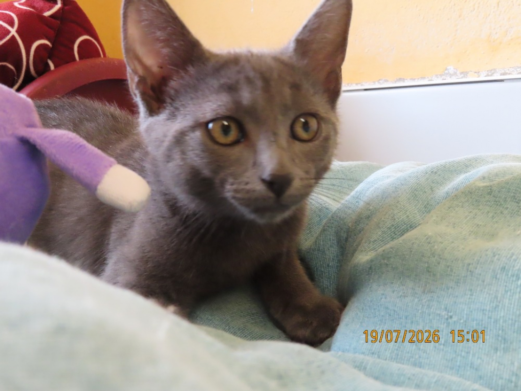 Photo #4 de Jasper