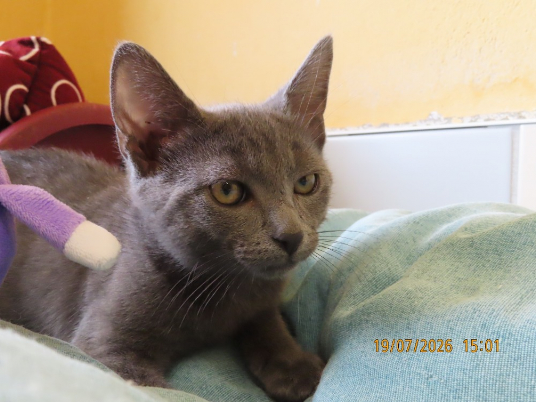 Photo #5 de Jasper