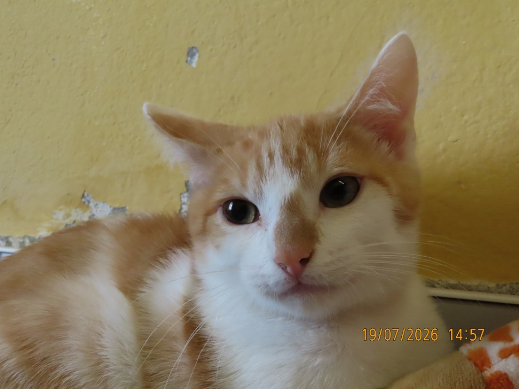 Photo #1 de Maki