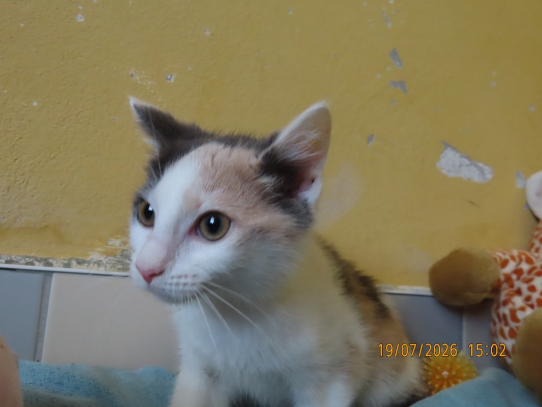 Photo #2 de Ilya
