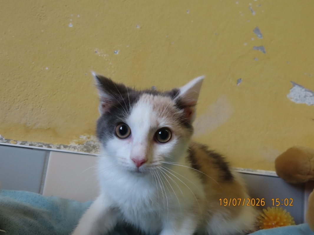 Photo #6 de Ilya