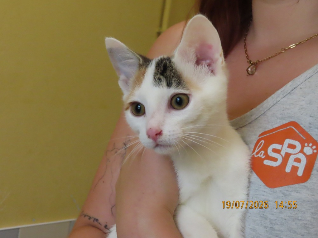 Photo #2 de Yuma