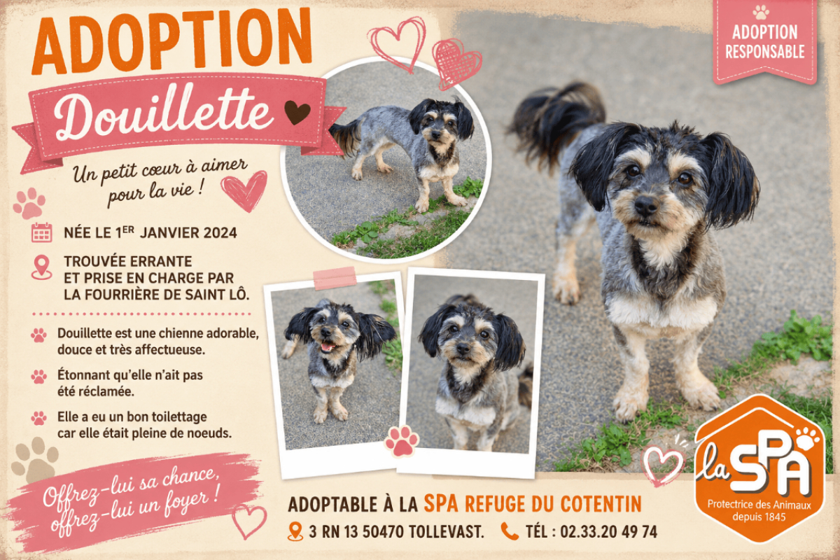 Photo de Douillette
