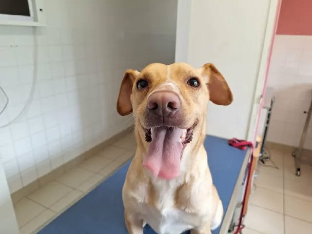 Photo de Nala
