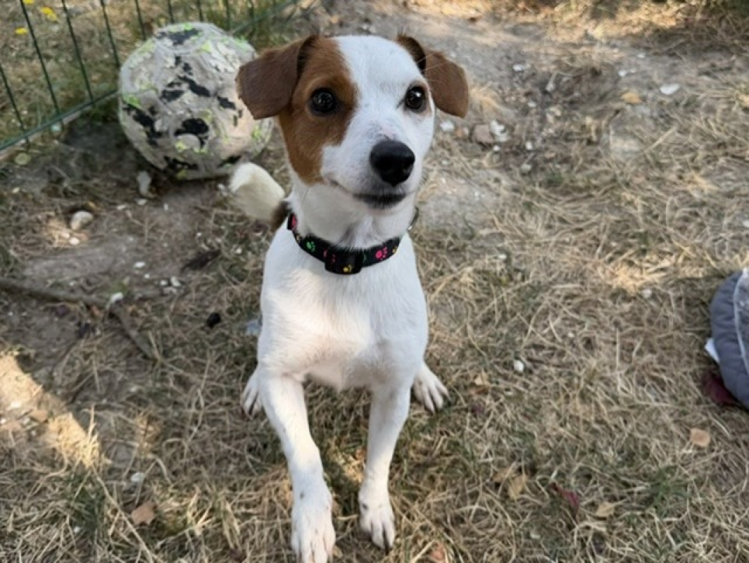 Photo de Lyla