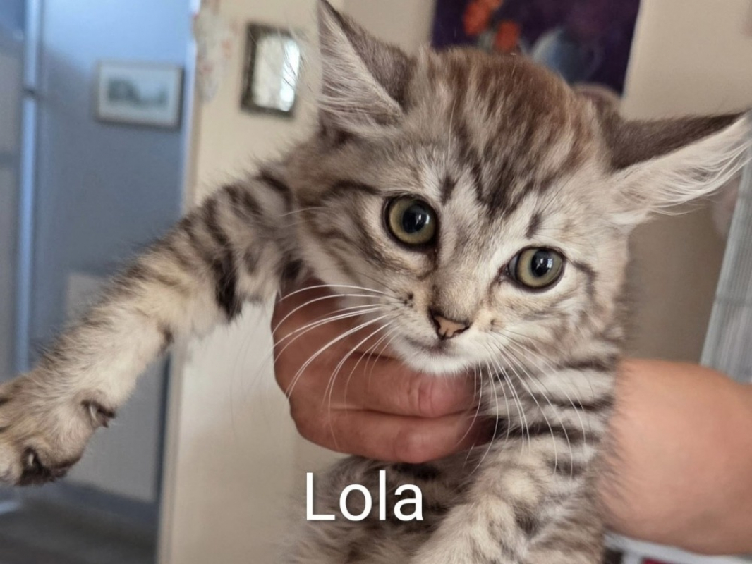 Photo de Lola