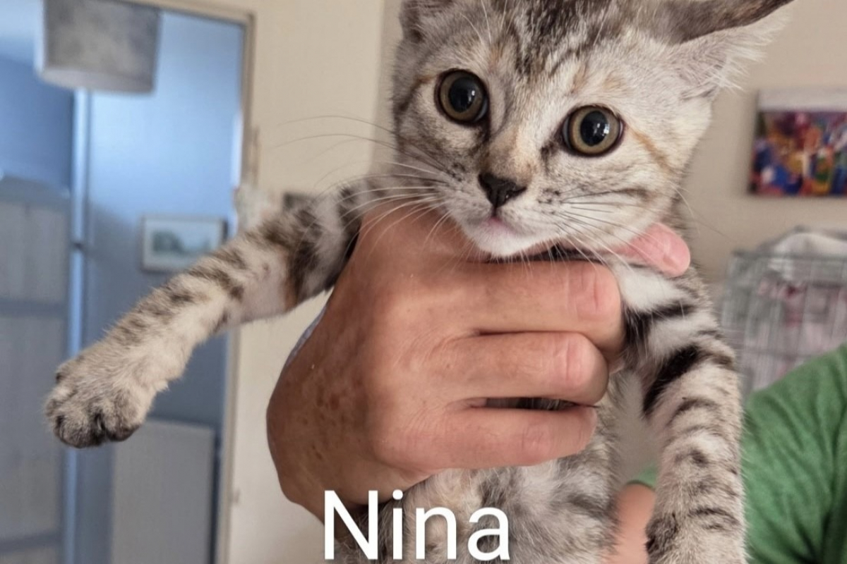 Photo de Nina