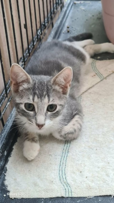 Photo de PACHA