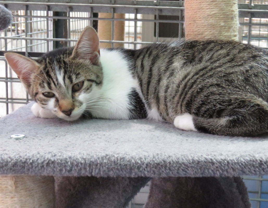 Photo #2 de Albus