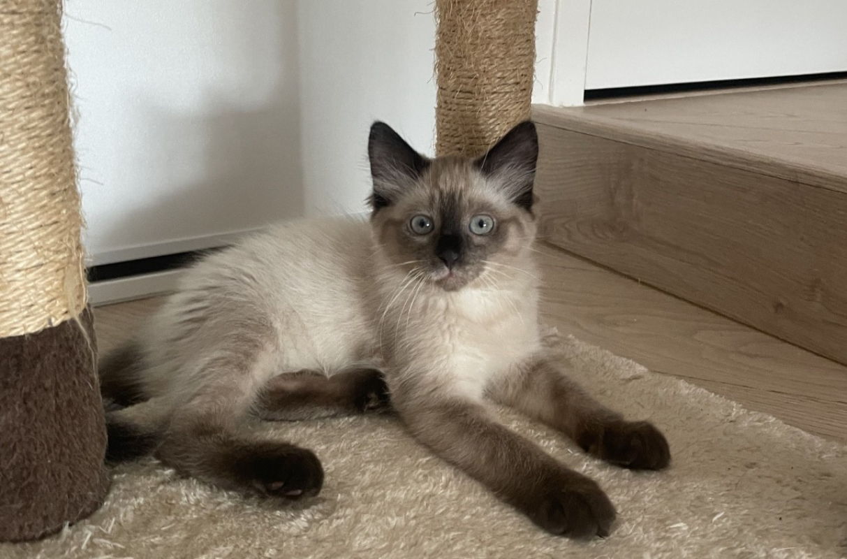 Photo de Tyka
