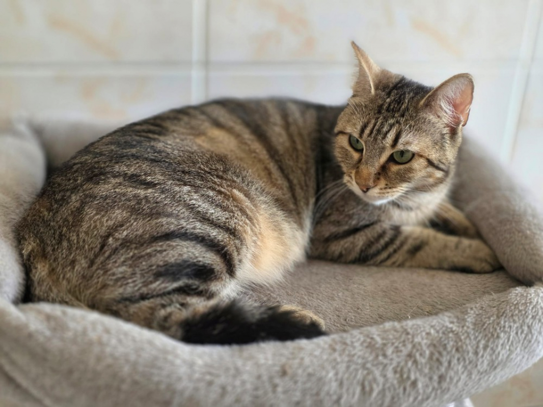 Photo #1 de Amandine