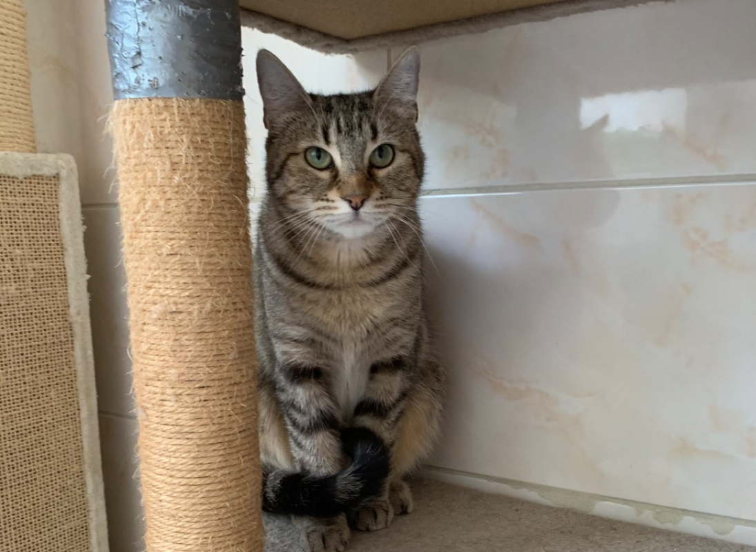 Photo #2 de Amandine