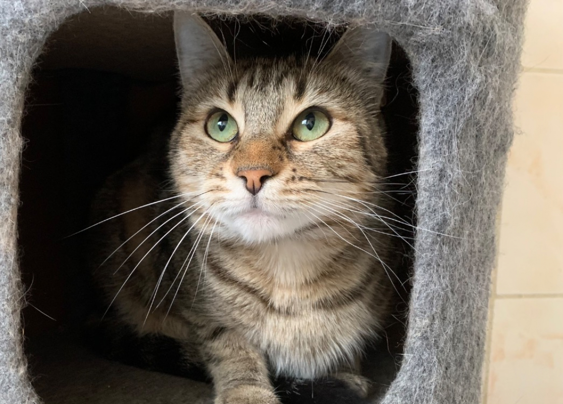 Photo #3 de Amandine