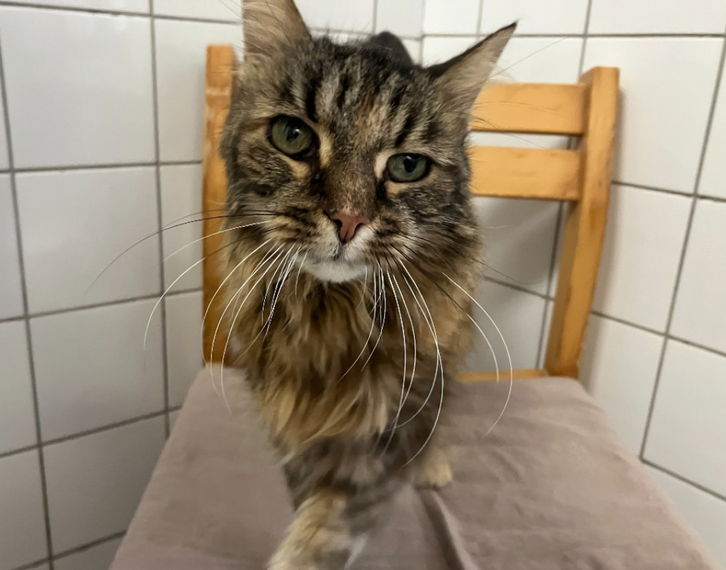 Photo de Daphne