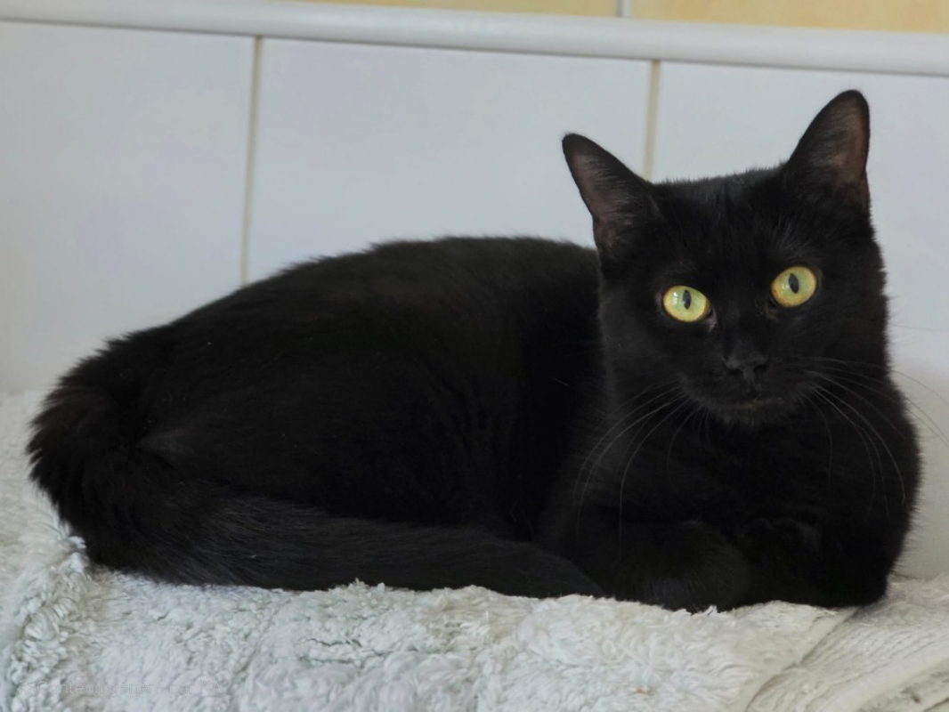 Photo #1 de Bouclette