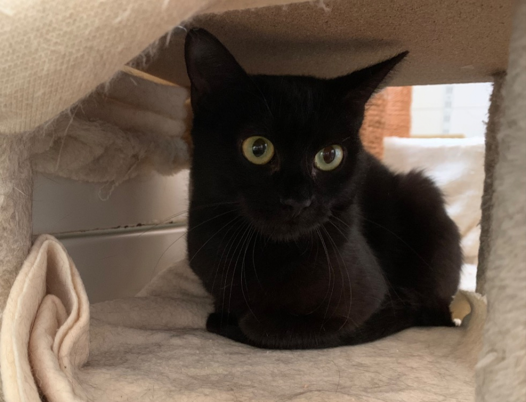 Photo #2 de Bouclette