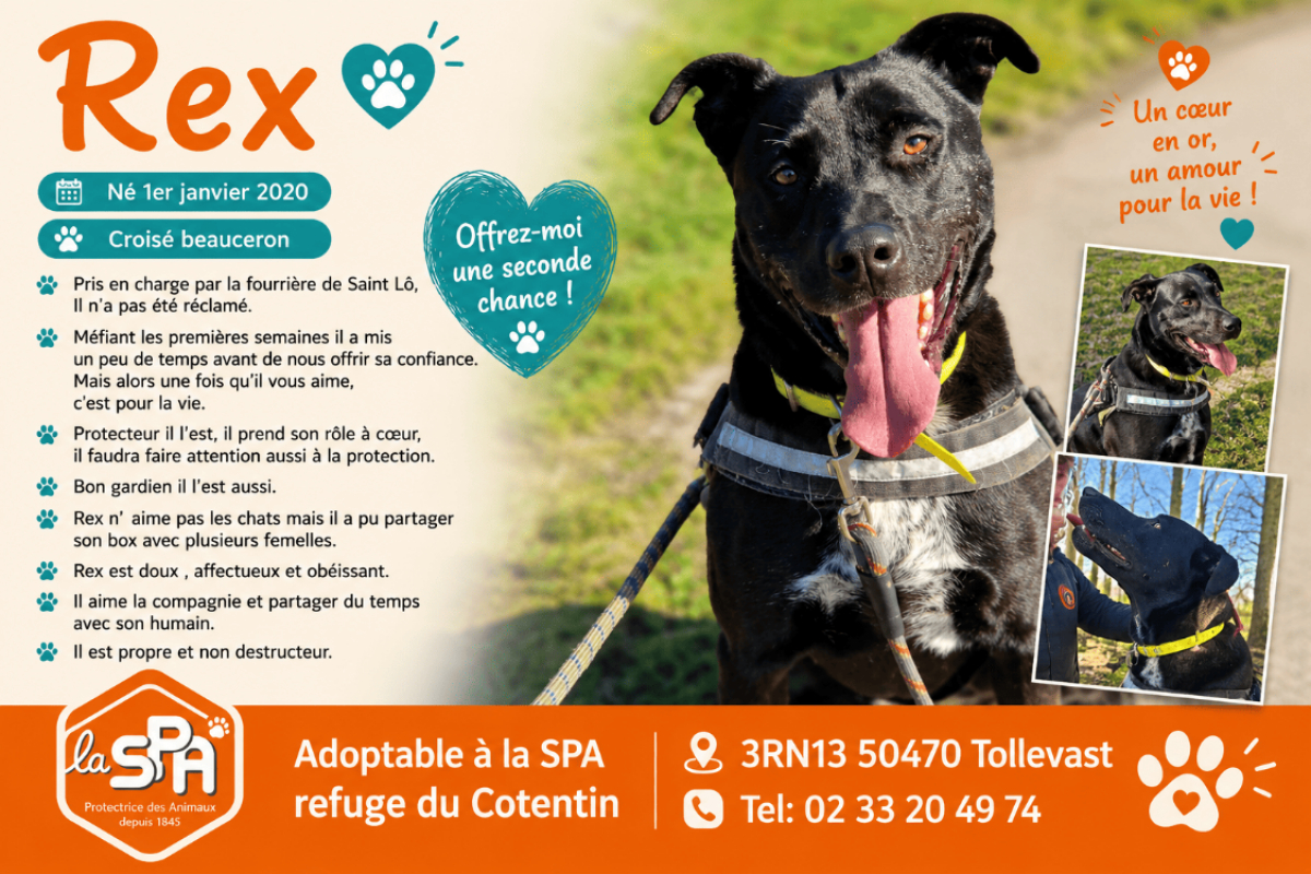 Photo de Rex