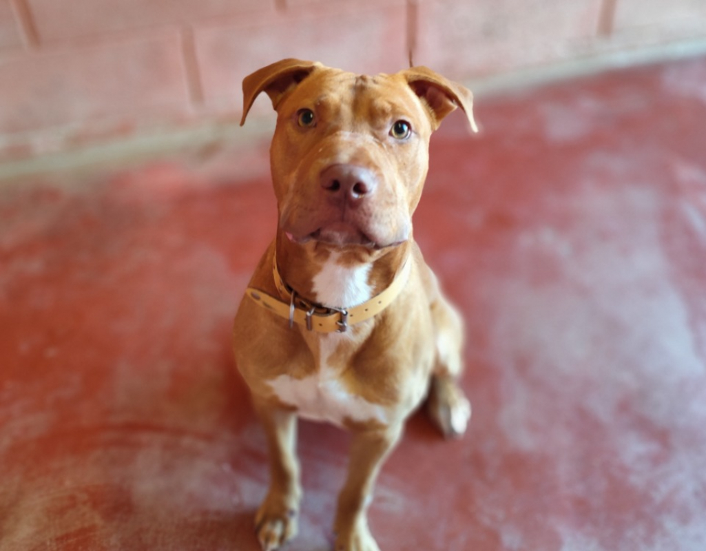 Photo #1 de Zackpaa22964