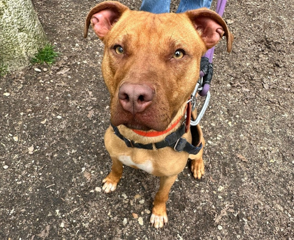 Photo #1 de Zackpaa22964