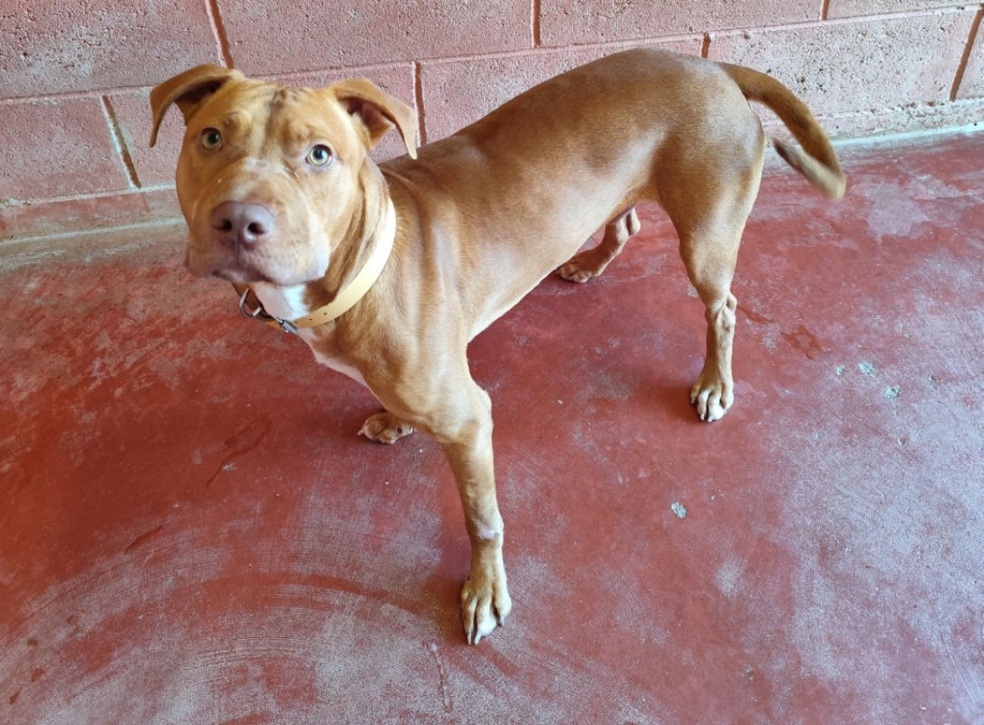 Photo #3 de Zackpaa22964