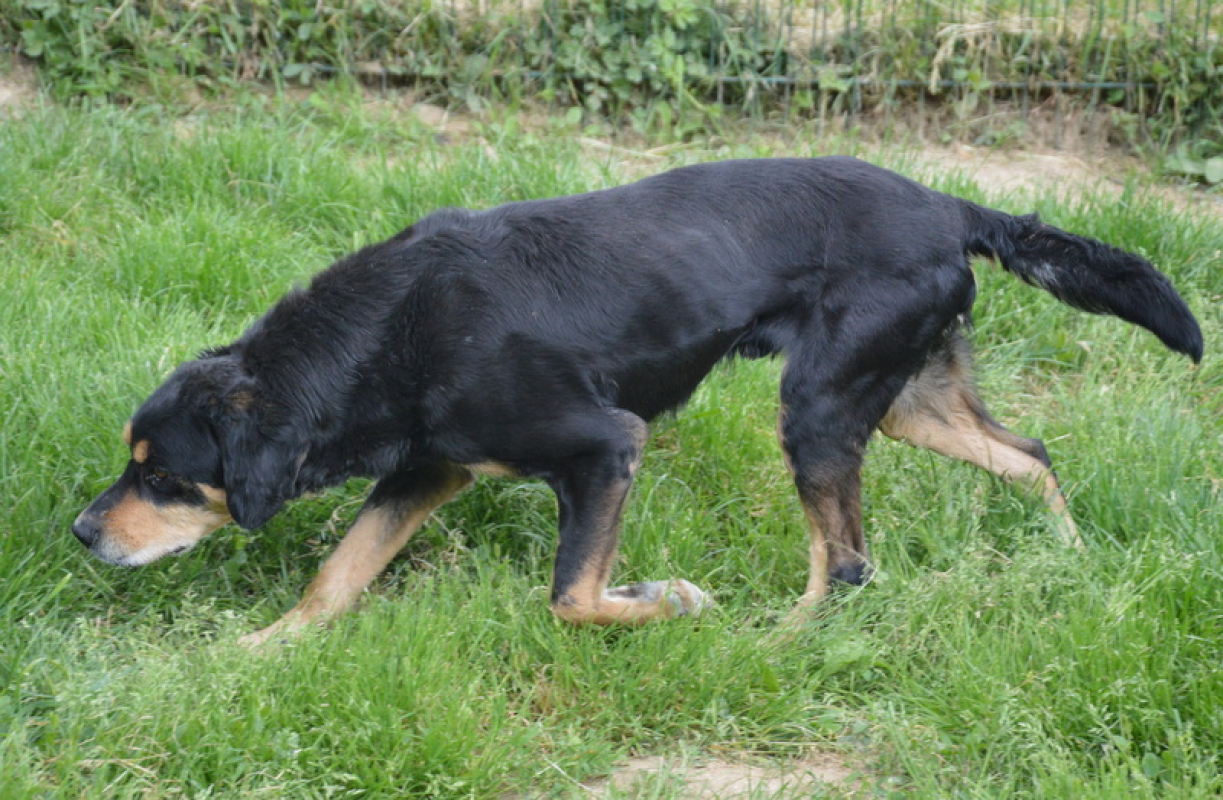 Photo #2 de Ayron chao