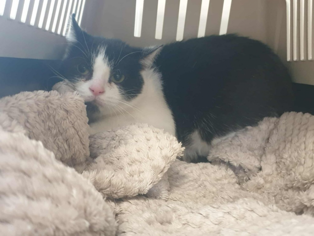 Photo de Neutrogena qct