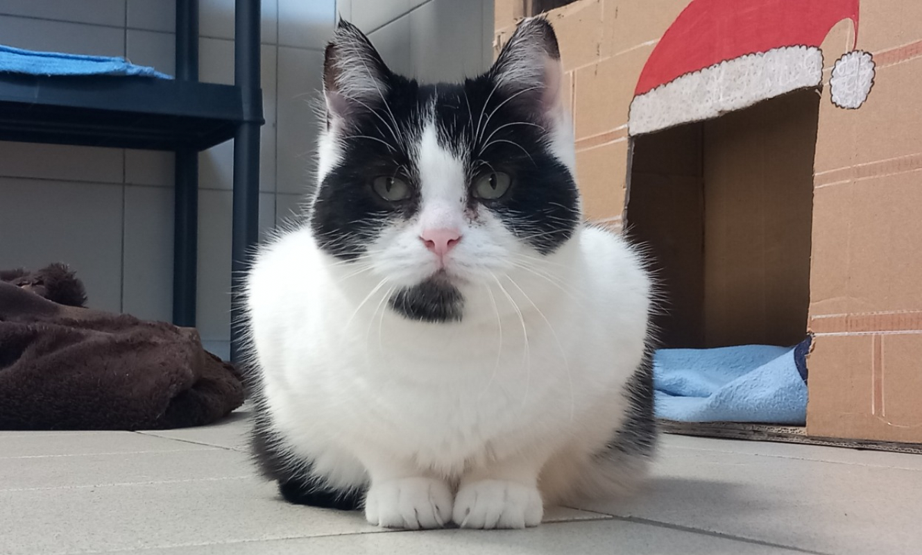 Photo #1 de Neutrogena