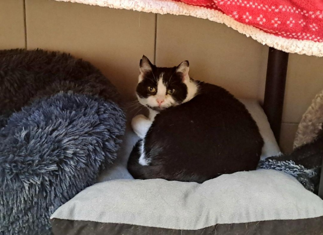 Photo #2 de Neutrogena