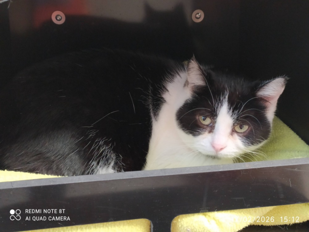 Photo #3 de Neutrogena