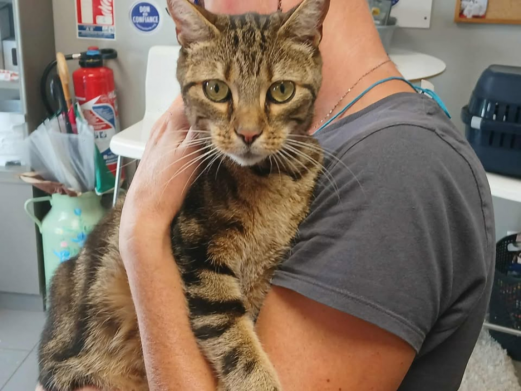 Photo #1 de Malefique