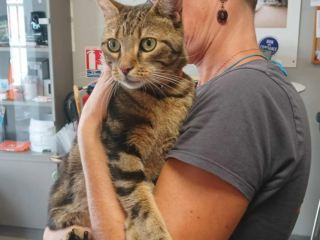 Photo #2 de Malefique