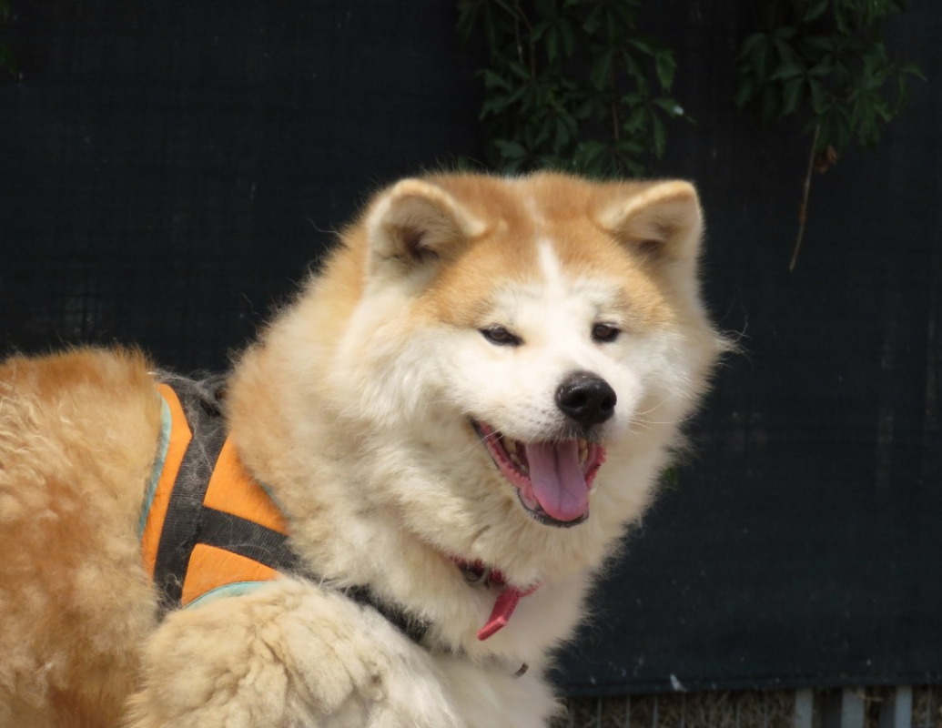 Photo de Prada