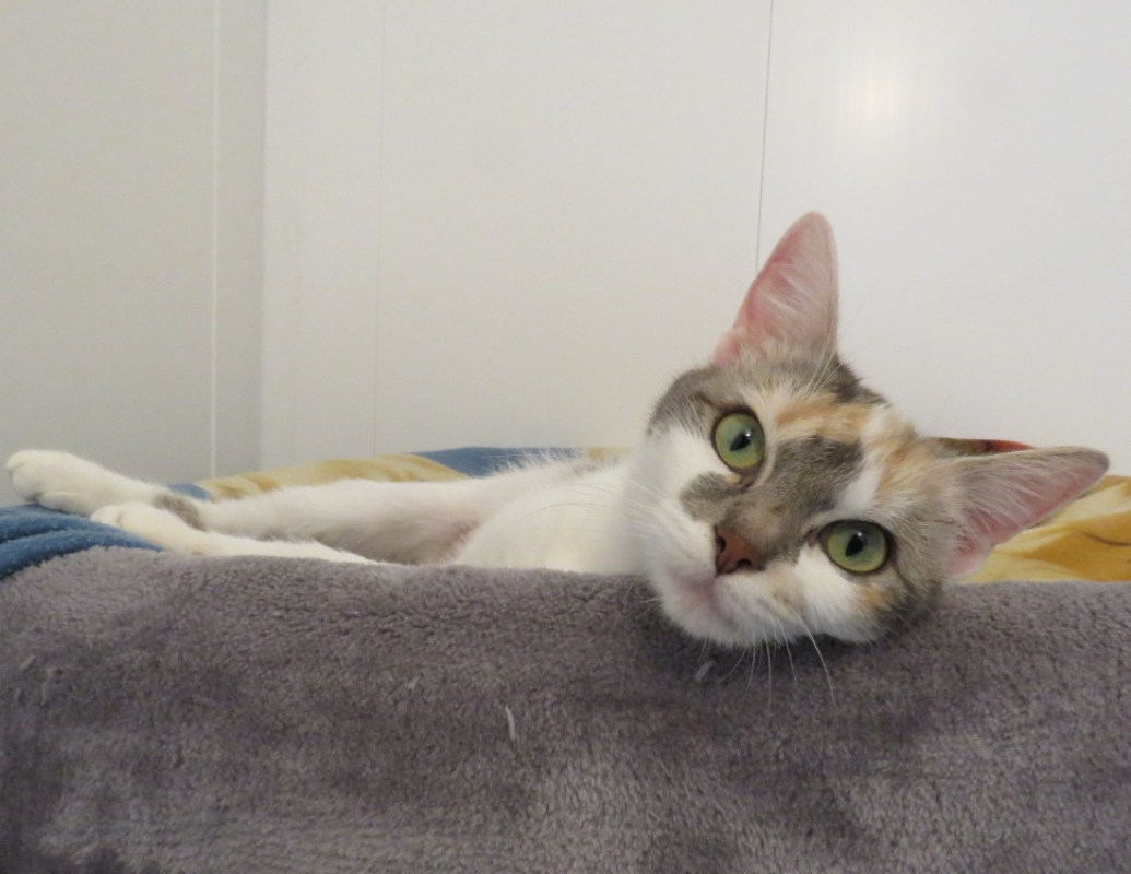 Photo #2 de Ruby