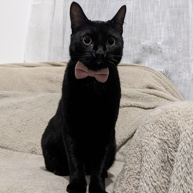 Photo de Zora