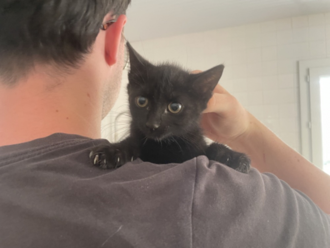 Photo de Ombra