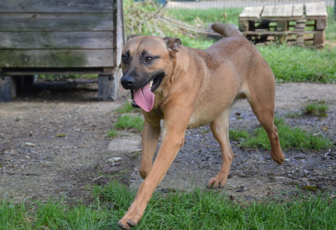 Photo #6 de Sahara chao