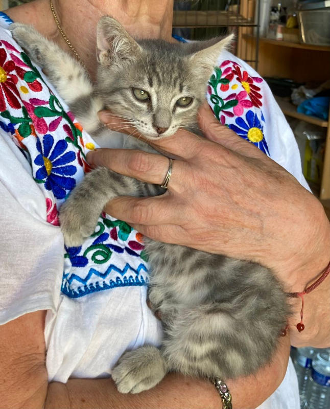 Photo #1 de SPIROU