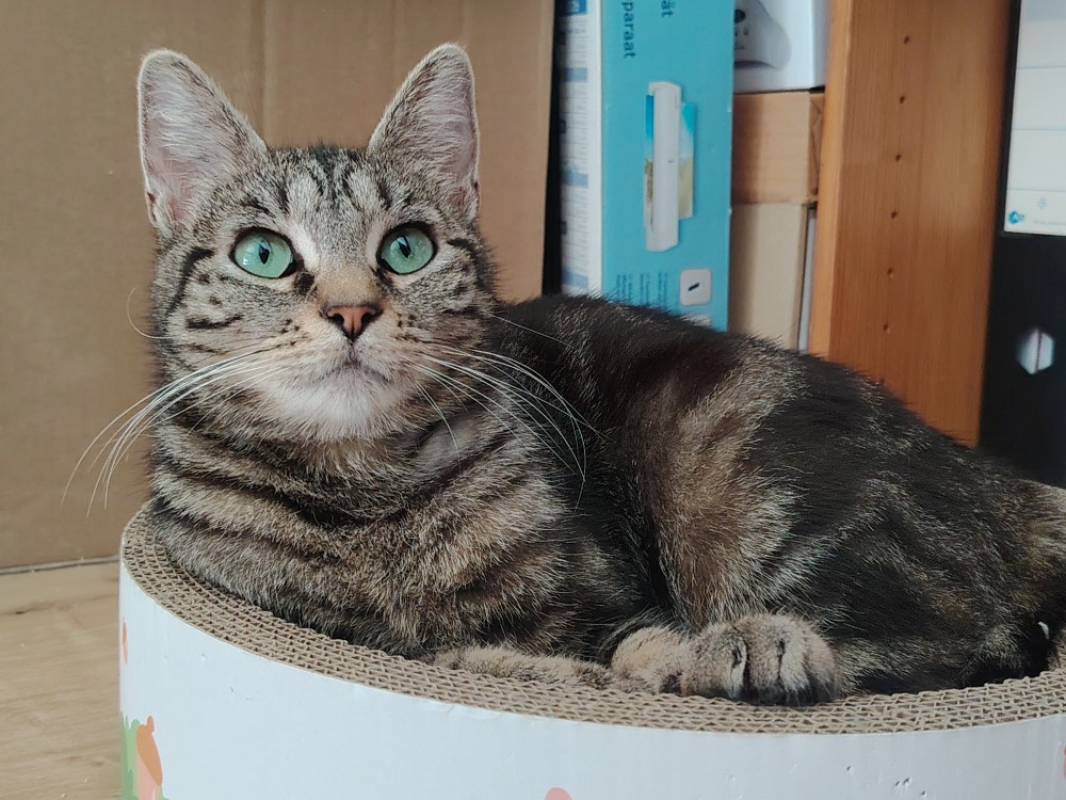 Photo de Lunette
