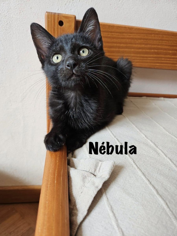 Photo #3 de NEBULA