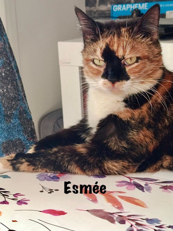 Photo #8 de ESMEE