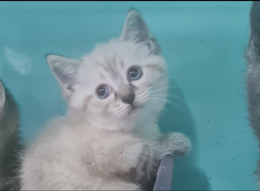Photo de Bellatrix