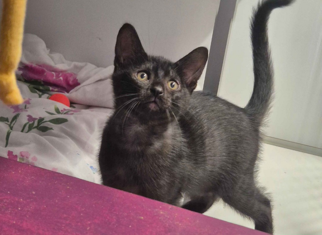 Photo de Bounty