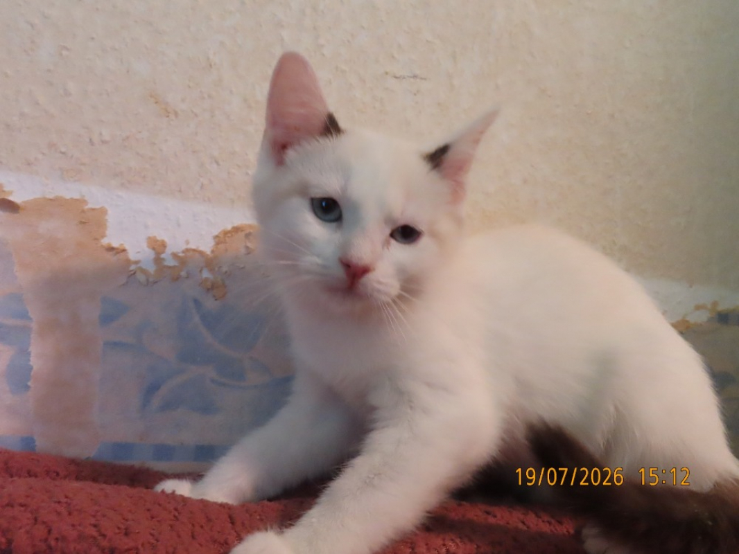 Photo #1 de Uma