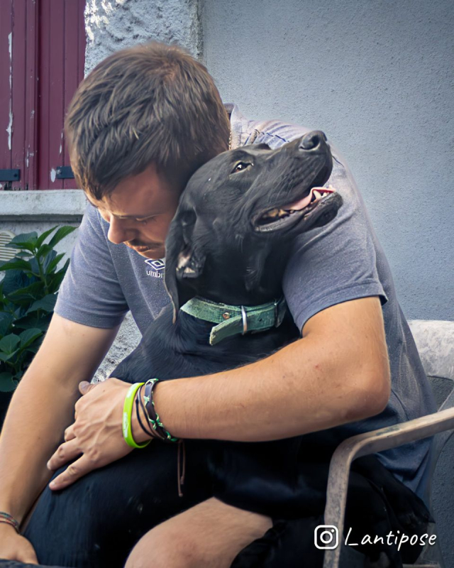 Tobby - Chien à adopter