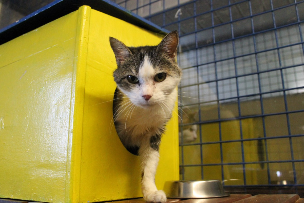 Photo #2 de Caroline