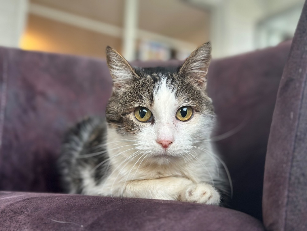 Photo #2 de Caroline