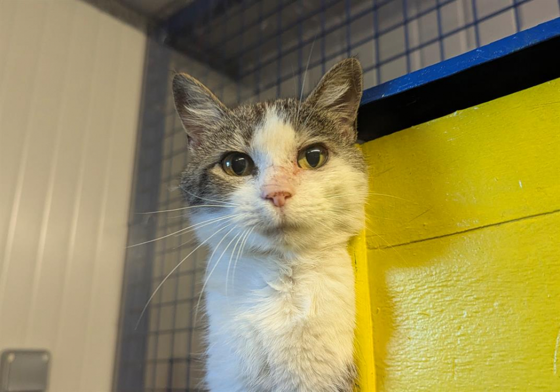 Photo #3 de Caroline