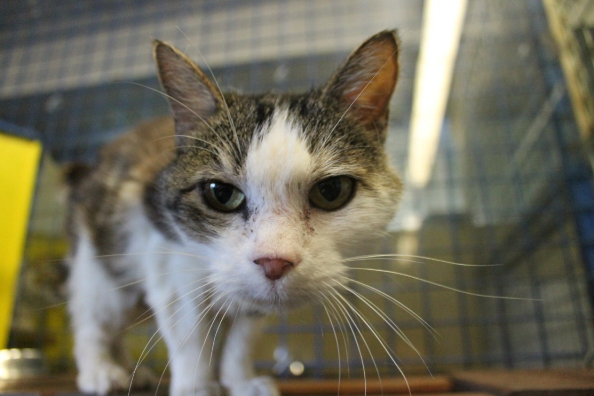 Photo #5 de Caroline