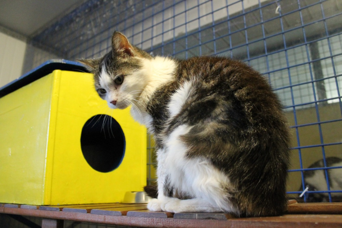 Photo #6 de Caroline